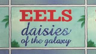 Eels - &quot;I Like Birds&quot;  A Lyric Music Video