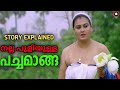 ഇത് നല്ല പുളിയുള്ള പച്ചമാങ്ങാ PACHAMANGA Malayal