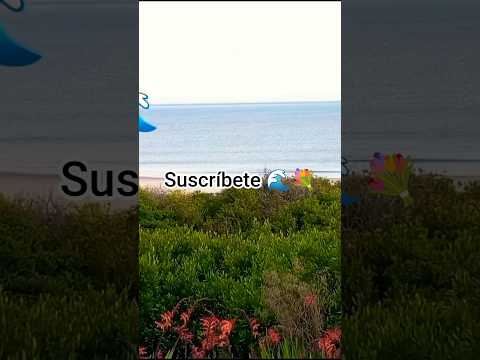 #nature Uruguay 🇺🇾 Costa Azul 💙 Canelones