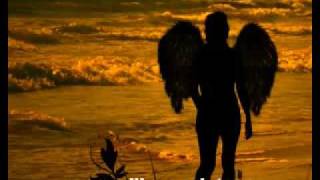 meravigliosa creatura gianna nannini