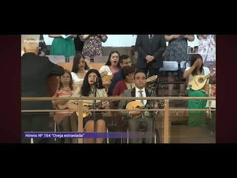 Himno 164 Oveja extraviada.