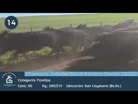 Lote Nll Inv - San Cayetano Bs As