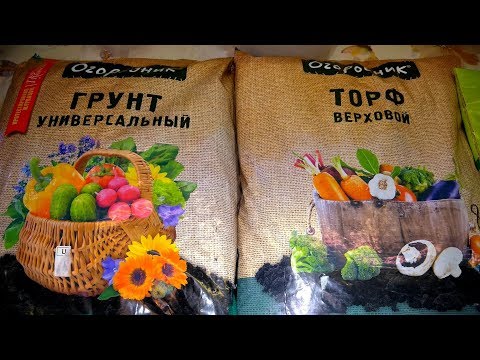 Наконец-то я его купила //  И еще кое что ...