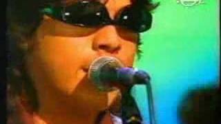 Gato callejero - Los delinqüentes.