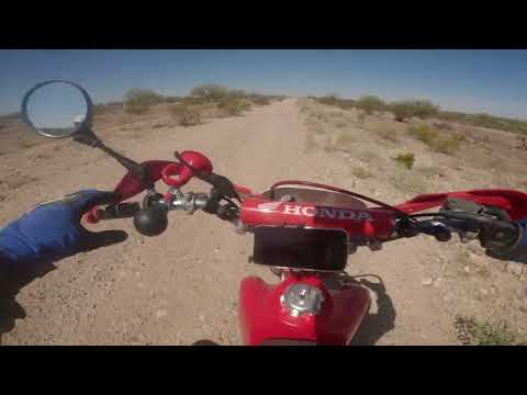 High speed trails with Renski