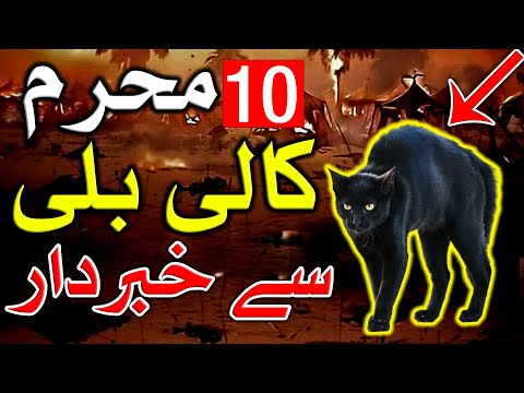 10 Muharram kali bili Se Khabardar | Karbala Ka Waqia | Hazrat Hussain as Shahadat | Mehrban Ali