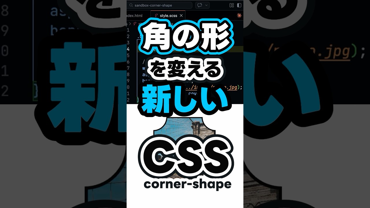 角の形を変えるCSS【corner-shape】#shorts #コーディング #プログラミング #htmlcss #html #css #javascript #webデザイン #フロントエンド
