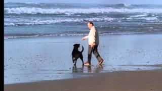 Nicolas Saint Lanne - Baltique - Renaud