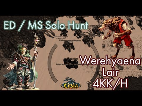 Tibia 2021 -  Darashia Werehyaena Mage Guide For ED/MS. 4KK EXP/H + Profit Hunt.