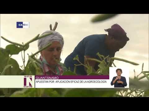 Guantánamo apuesta por agricultura sostenible con agroecología