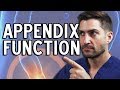 Appendix Function - What Does It Do & Do You Need It?