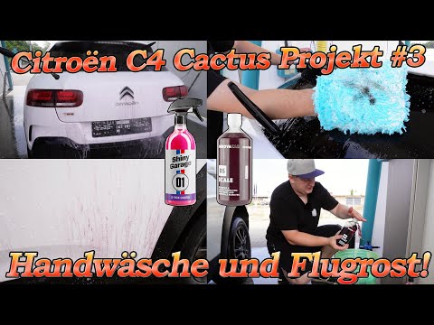 Citroën Project Part 3 - desperately needed handwash with acidic shampoo and removing rust