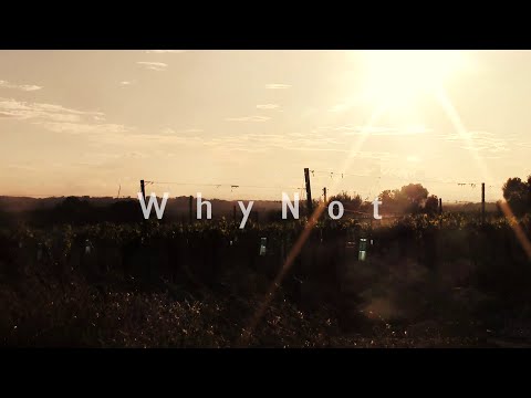 WhyNot - Caravan Palace : Dragons