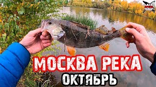 Рыбалка в октябре на москве реке