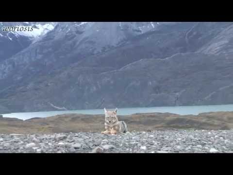 Torres del Paine National Park / Торрес-