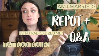 Repotting My Biggest Houseplant + Instagram Q&A