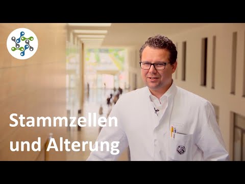 Stammzellen und Alterung