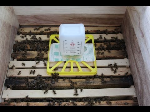 Varroabehandlung mit Ameisensäure, Liebig Dispenser - DIY - Helmchen