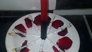 OFERENDA  PARA POMBOGIRA DAMA DA NOITE