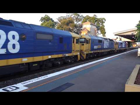 Triple 81's with PN 9537 Flour - 28/12/17