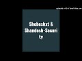 Shebeshxt x Shandesh-Security (Official Audio)