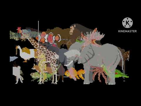 Animals book version stampede the kids picture show