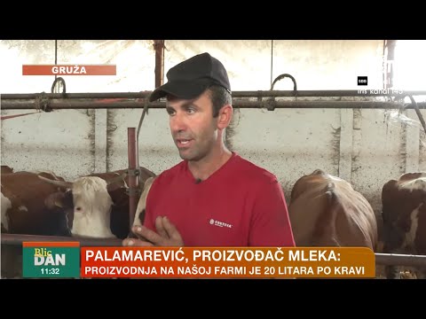 "Mlekarska mafija odgovorna za uništavanje mleka" - proizvođač otkriva istinu