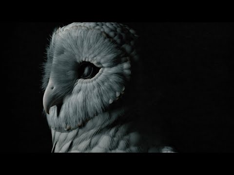 Deftones – This Place Is Death (Official Visualizer)