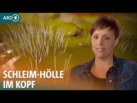 Abenteuer Diagnose: Dauerschnupfen, Schmerzen, Luftnot - Was verstopft Christines Atemwege?