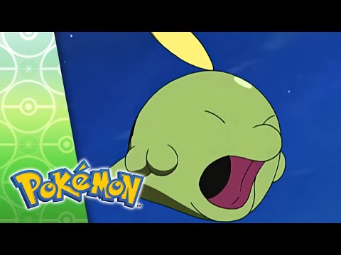 Gulpin it Down | POKÉMON FULL EPISODE 25 | Season 7