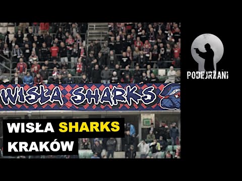 WISŁA SHARKS. KRAKOW | Suspects