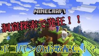 【初見歓迎】のんびりマインクラフトpart3