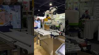 FANUC cobot on a pick-and-place packaging demo #cobot #fanuc #automation
