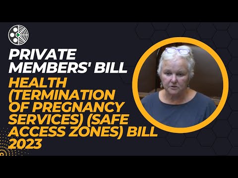 Bríd Smith demands safe access zones to stop clinic harassment