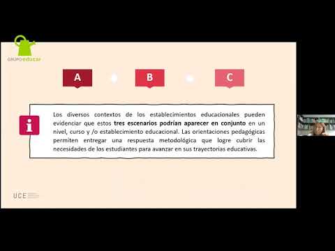 Seminario “¿Qué enseñar este 2021?”: Preguntas y respuestas a la priorización curricular