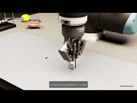 Embedded video