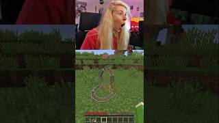 MINI Roller Coaster in Minecraft!