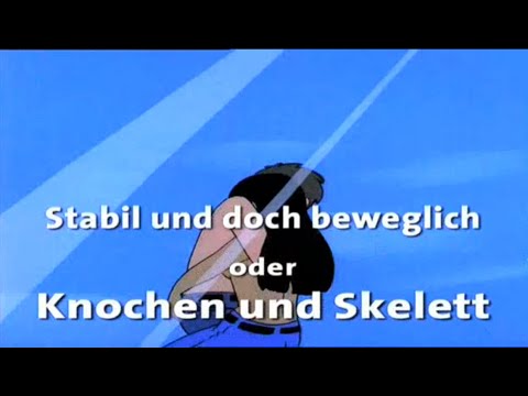 Es war einmal... das Leben Folge 19 - Stabil und doch beweglich – Knochen und Skelett