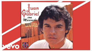 Juan Gabriel - Me Despertó la Realidad (Cover Audio)