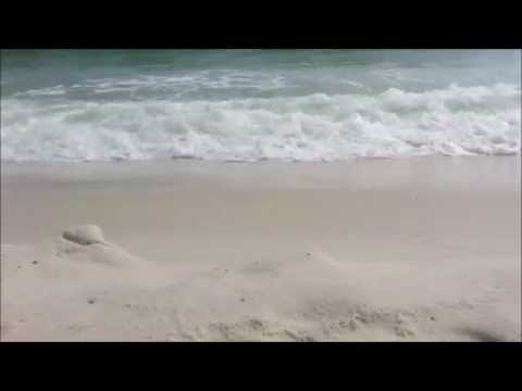 Relaxing Waves From The Gulf Of Mexico 2