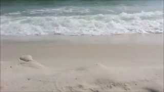 Relaxing Waves From The Gulf Of Mexico 2