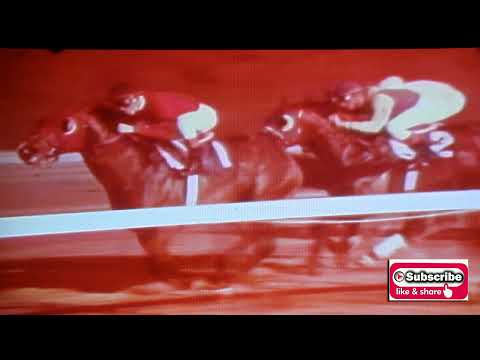 1968 Florida DERBY   FORWARD PASS vs. IRON RULER
