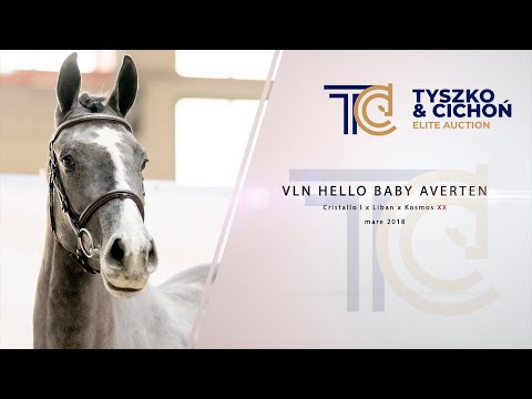 TC Elite Auction 2021: VLN Hello Baby Averten (Cristallo I x Liban x Kosmos xx) 2018
