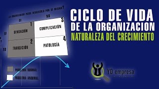Ciclo de vida de la organización: La naturaleza del crecimiento