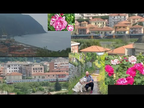 COMPILATION DI TRENI,transiti tra Riva Trigoso & Sestri Levante e spunti naturalistici con Jan 🐶