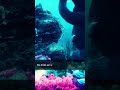 3D Render Underwater #shorts #walkthrough