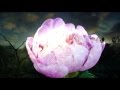 Loreena McKennitt ''La Serenissima''
