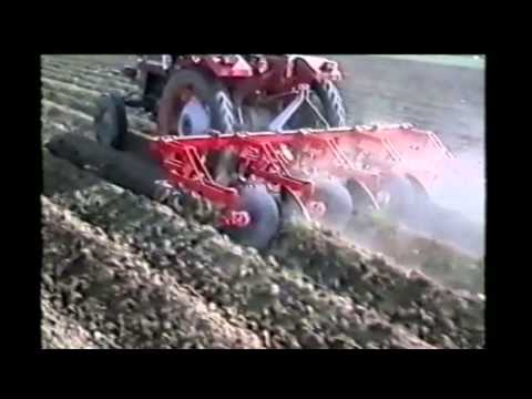 VR76 Export - Checchi Magli - Casagri de Lara