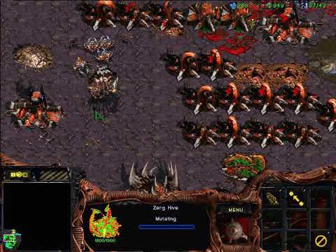 StarCraft: Brood War - 1 Zerg vs 7 Zerg (vs 7 computers ) Map: Big Game Hunters