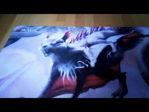 Yu-Gi-Oh! Vertraute Deck Vorstellung.